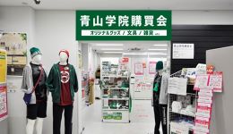 サンプル